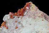 Large, Lustrous, Ruby Red Vanadinite Formation - Morocco #80540-2